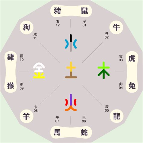 君字五行|君的五行属性是什么